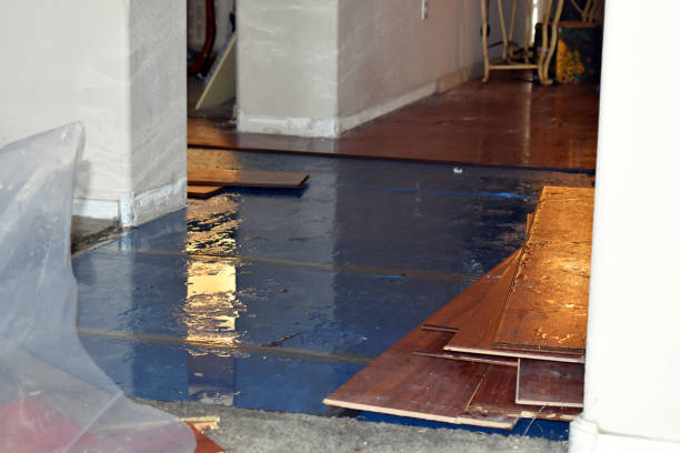 Professional Basement Flood Cleanup technician working in Brownstown, IN